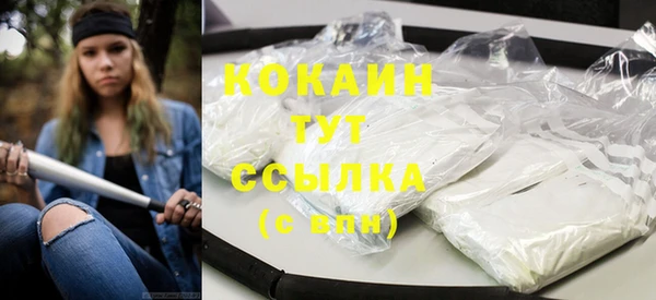 дмт Кинешма