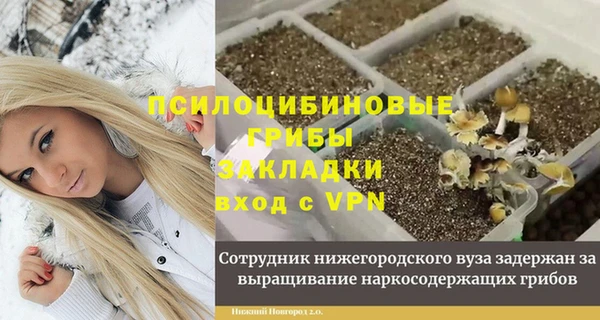 СК Сафоново