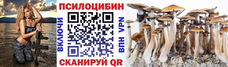 Псилоцибиновые грибы Psilocybe  Купить где  Высоковск 